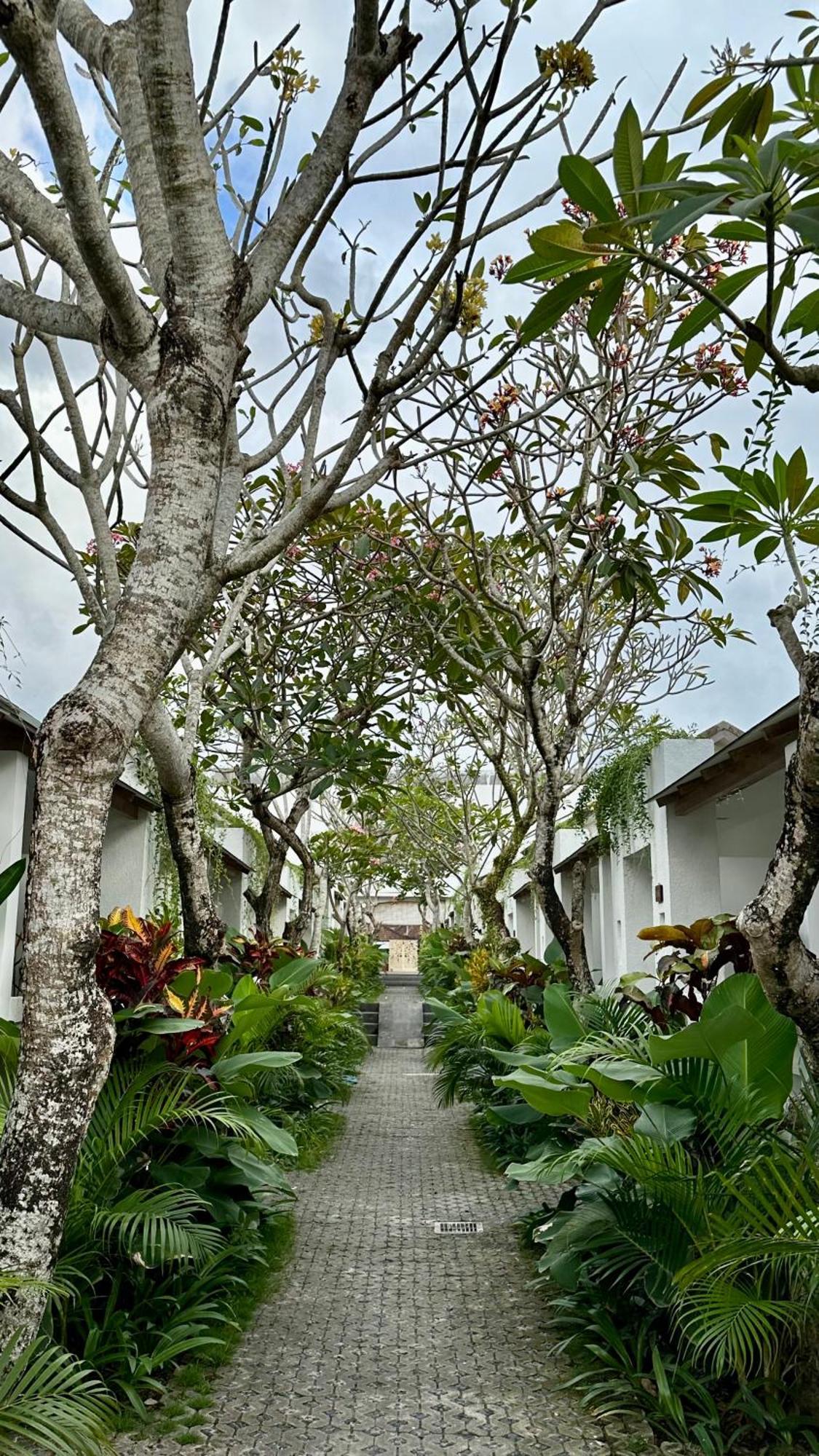 Lubdhaka Canggu Hotel Exterior photo